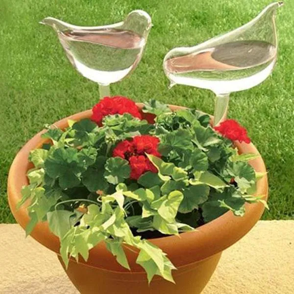 🔥Self-Watering Plant Glass Bulbs - Buy 6 Sets Free Shipping!